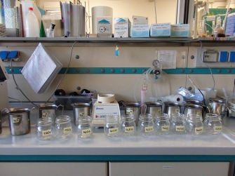 Laboratorio biotossine
