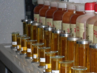 Laboratorio Fitoplancton