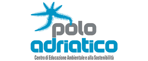 Polo Adriatico